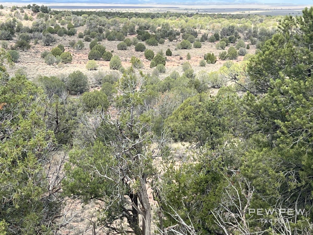 Gunsite PR7 targets