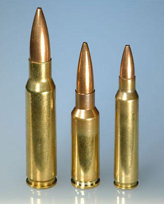 L to R: 7.62x51, 6.5 Grendel, 5.56