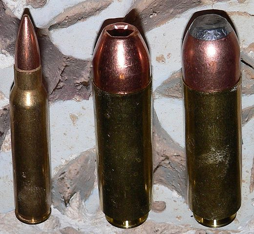 5.56 and Two of His .50 Beowulf Big Bros