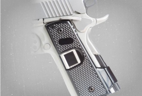 Intelligun