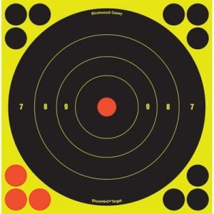 Product Image for Birchwood Casey Shoot-N-C Target