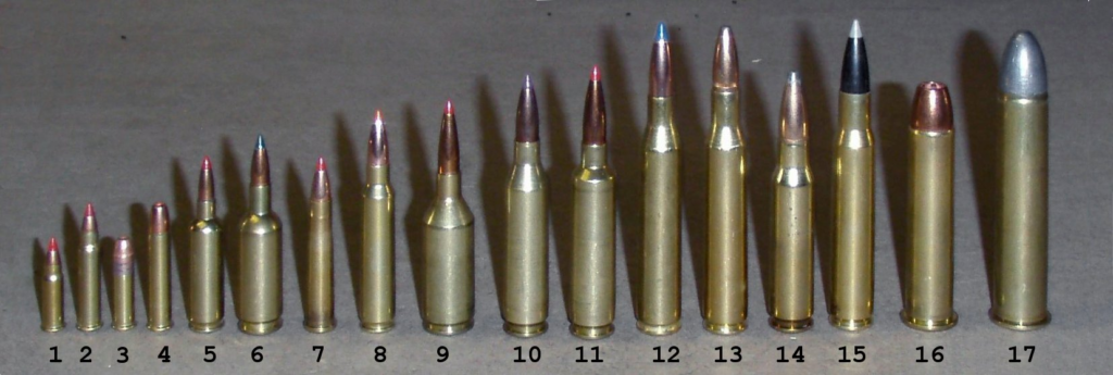 .17 HMR (2) Compared to Other Cartridges