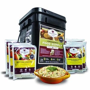 Product Image for Ready Wise Food Storage Emergency Food Supply