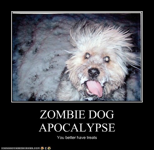 Zombie Dog meme