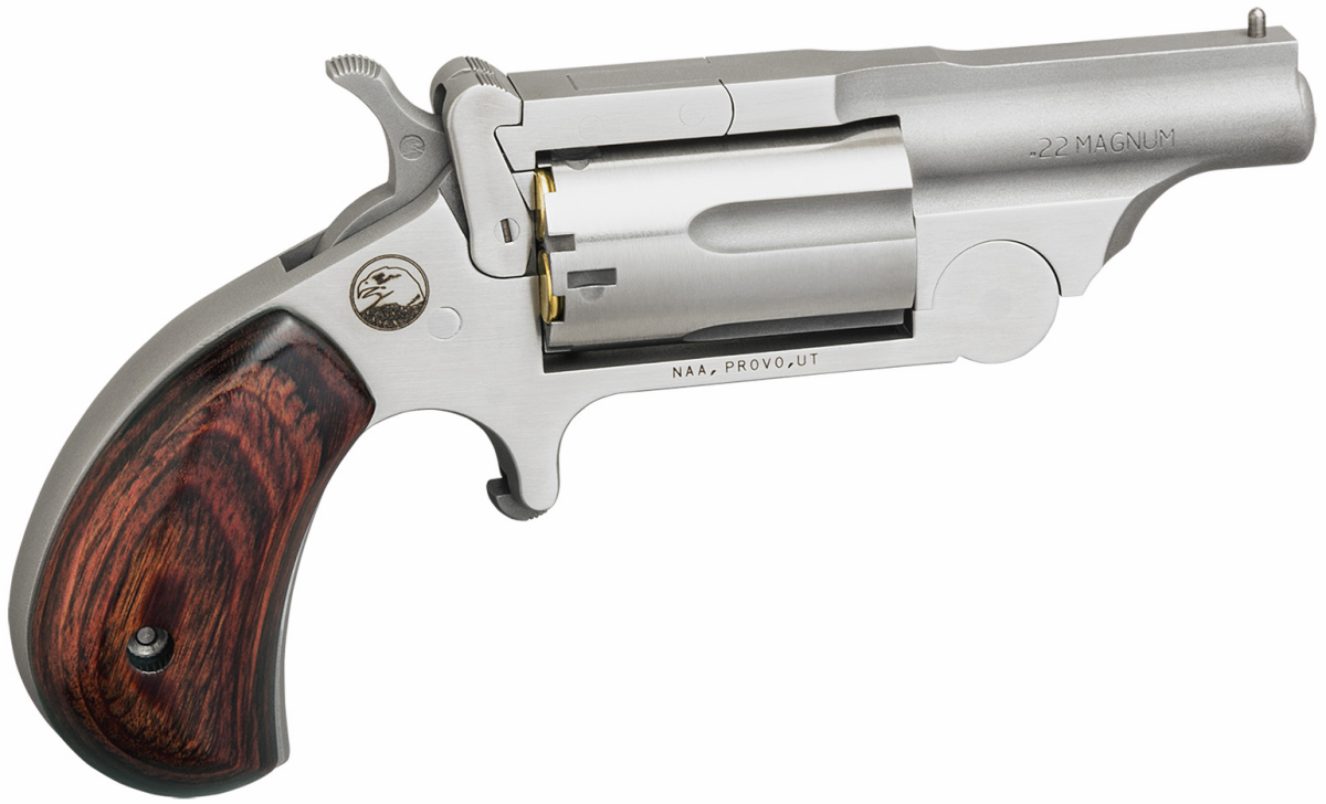 Product Image for North American Arms 22M-R