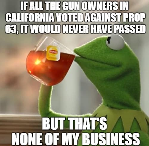 Frog Meme