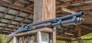 Post Thumbnail Image for post: Best Mossberg Models: Handguns, Rifles &amp; Shotguns