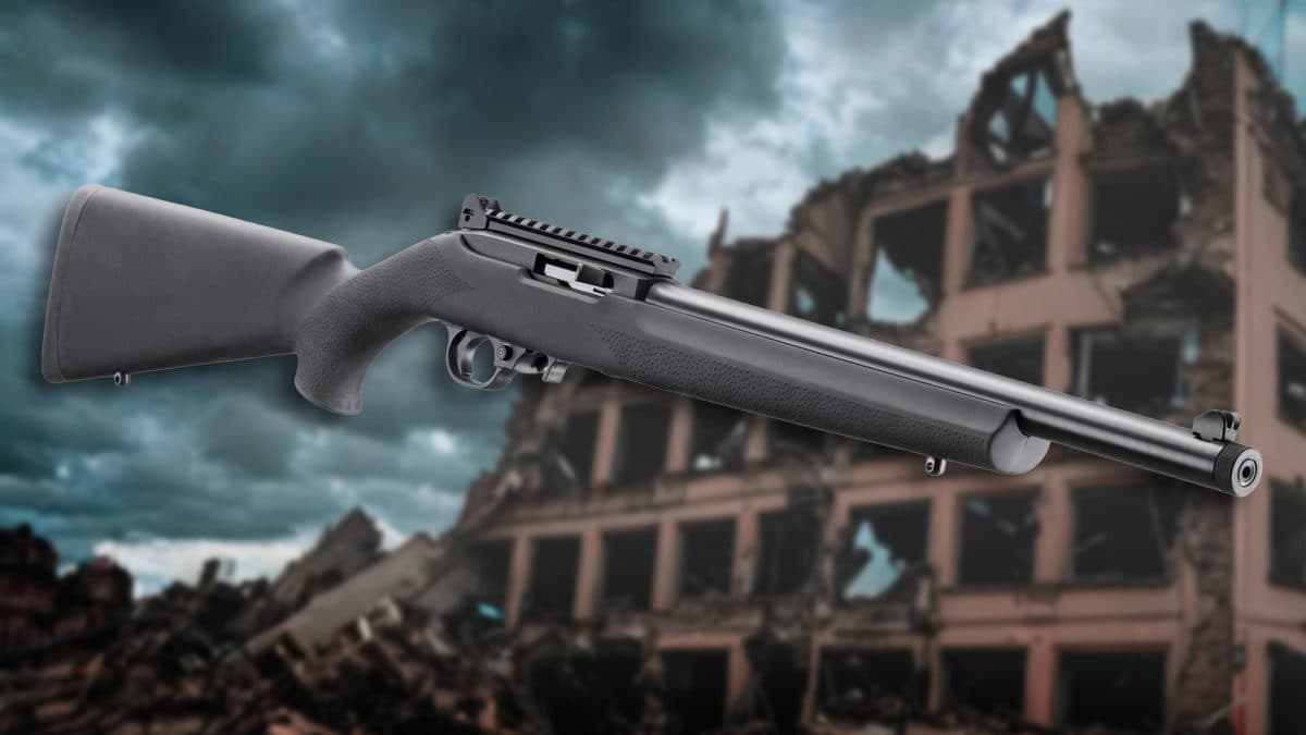 Ruger 10/22