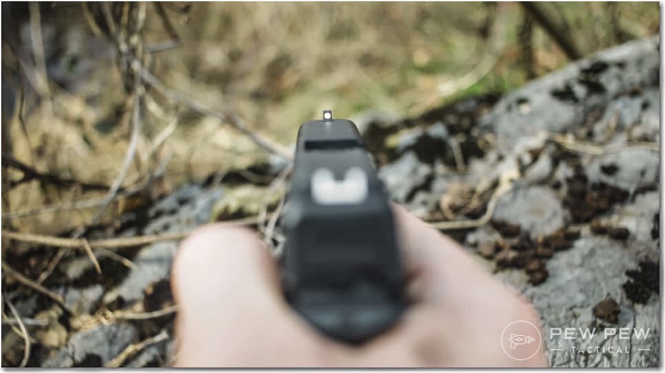 G44 Front Sight