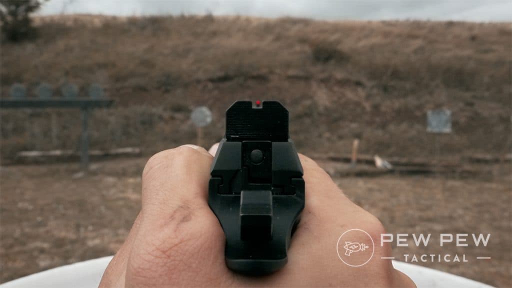 CZ TS 2 sights