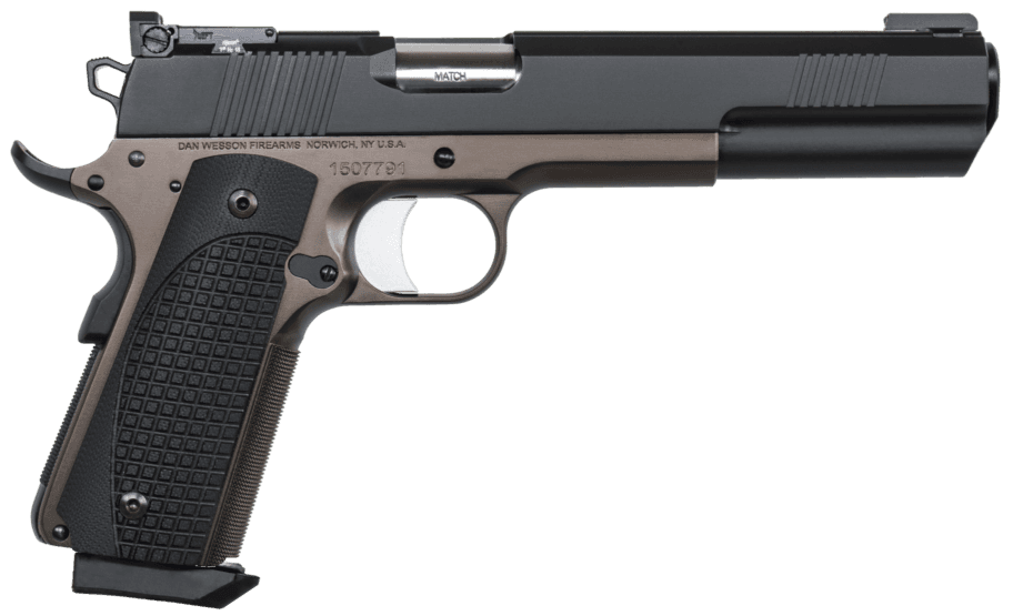 Dan Wesson Bruin