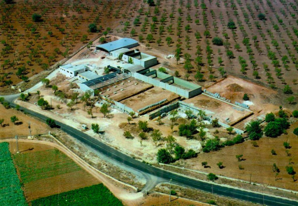 Club de Tiro Olímpico Mallorca