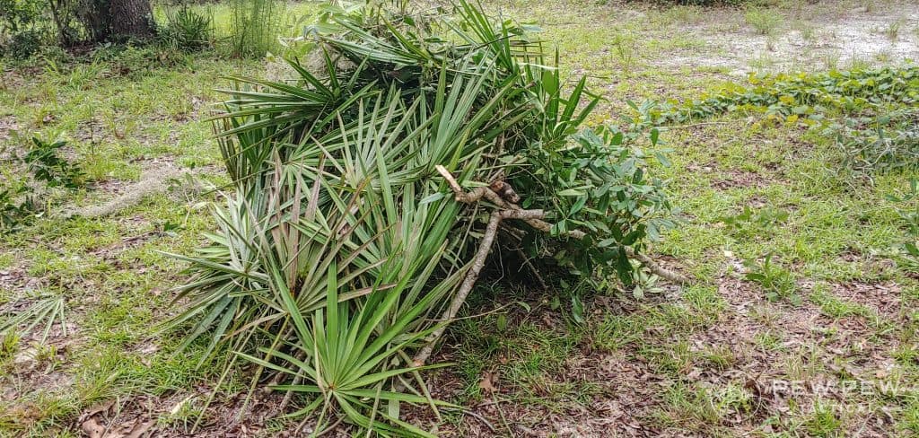Bushcrafting Completed Shelter