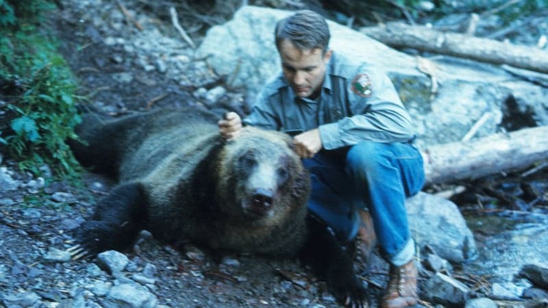 Bert Gildart with bear after the night of the grizzlies
