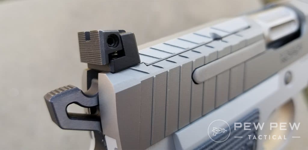 Kimber KDS9c rear sight