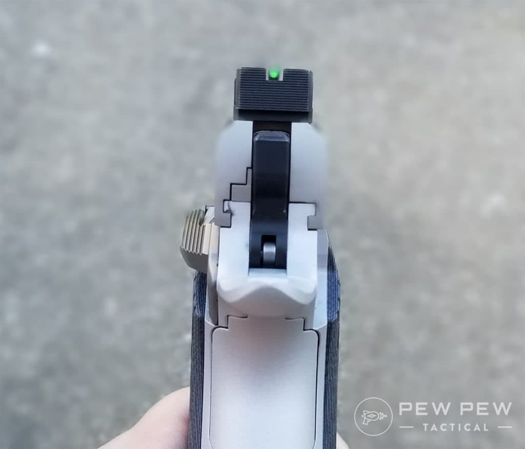 Kimber KDS9c sight picture