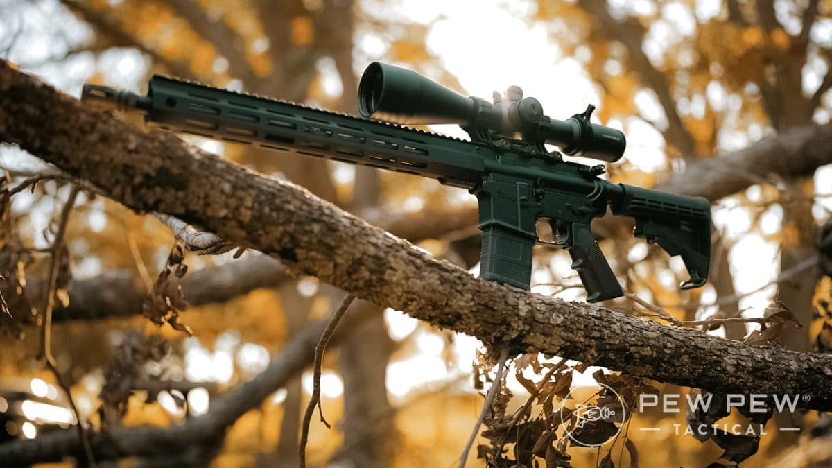 Budget AR-15s - PSA PA-15