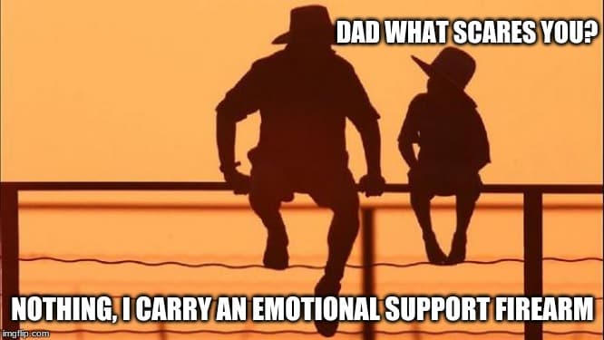 Emotional Support Firearm