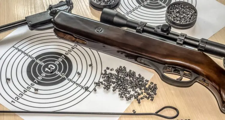 Pellet Rifle