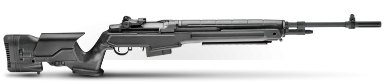 M1A Loaded Precision