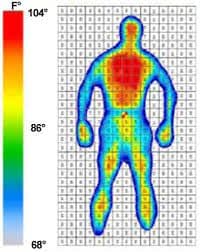 Body Heat Map