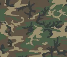M81 Woodland camo swatch