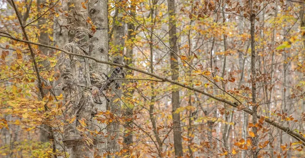 Realtree Edge