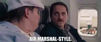 Air Marshal Style