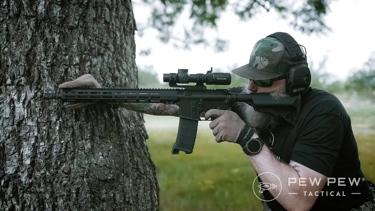 Budget AR-15s - IWI Zion-15 Sean tree