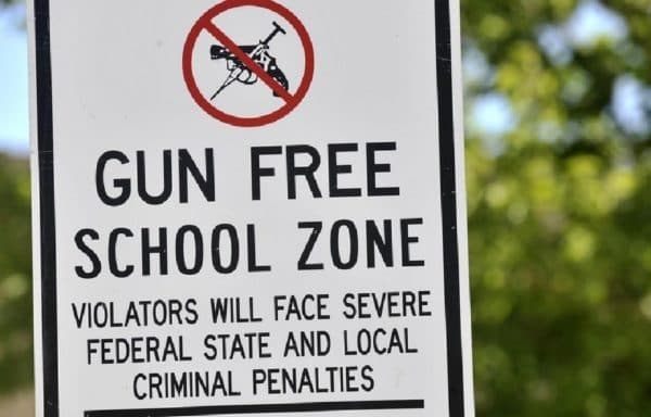 gun free school zone sign