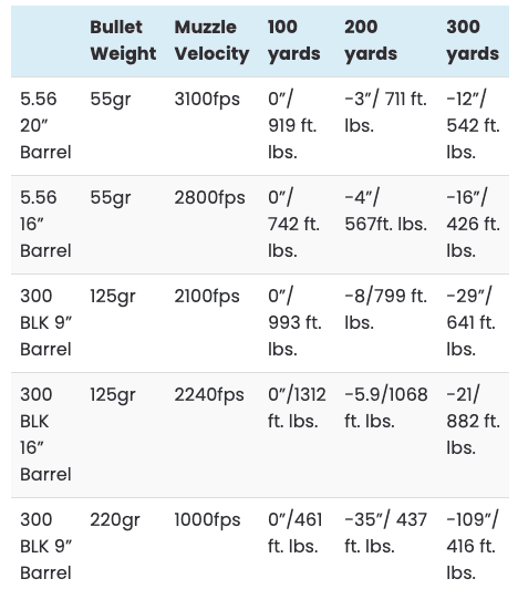 Terminal Ballistics 556 vs 300 BLK