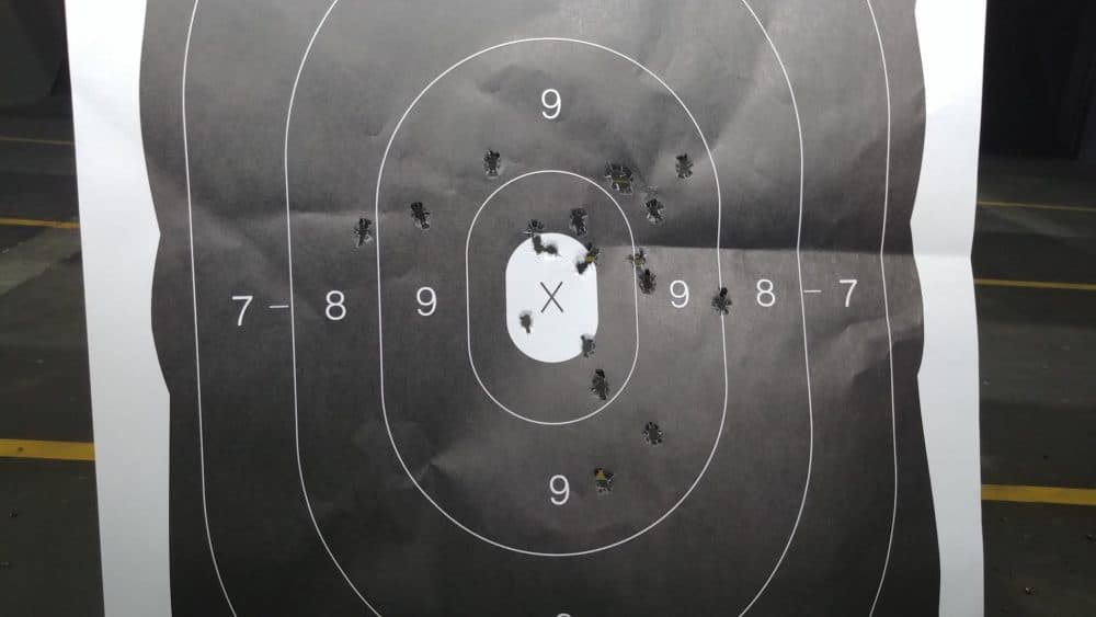 21 shots into NRA B-29 target at 40 feet - Bersa Firestorm