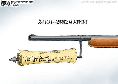 Red Flag Laws (4)