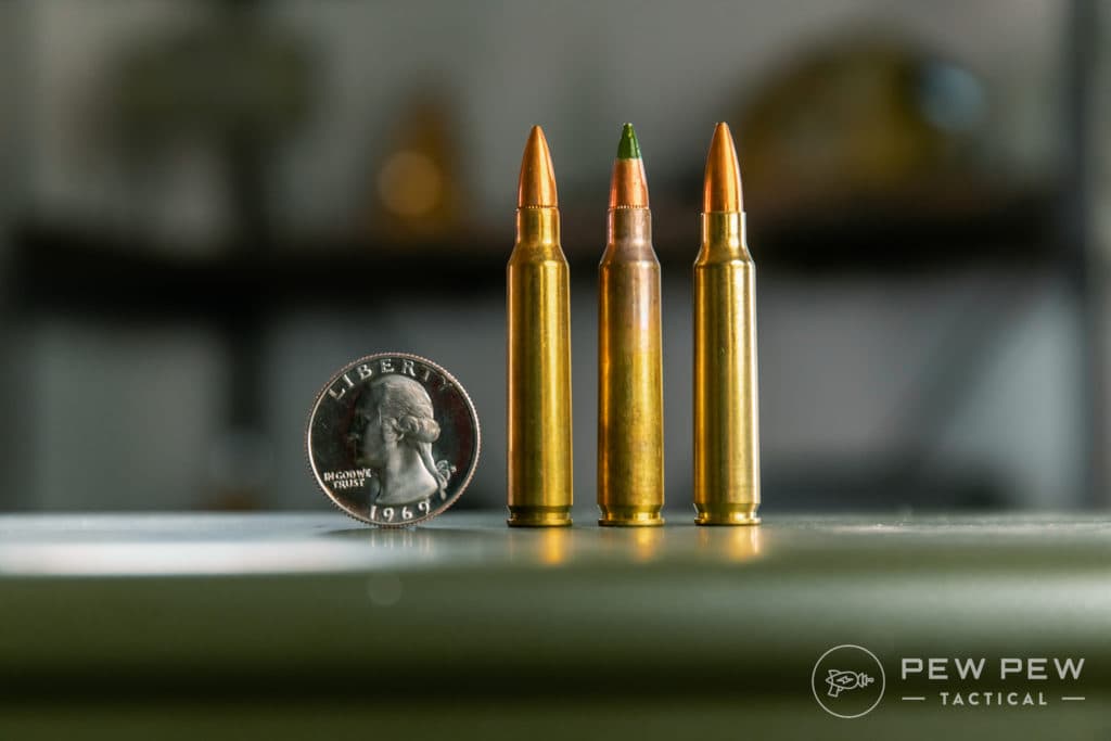 Assorted 5.56 Rounds (XM193, XM855, Gold Medal 69gr)