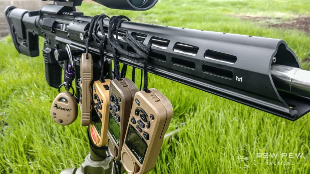 Kestrels on a rifle