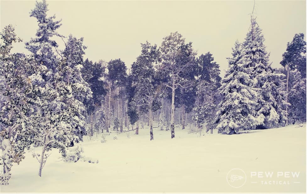 Elk Hunting Snow