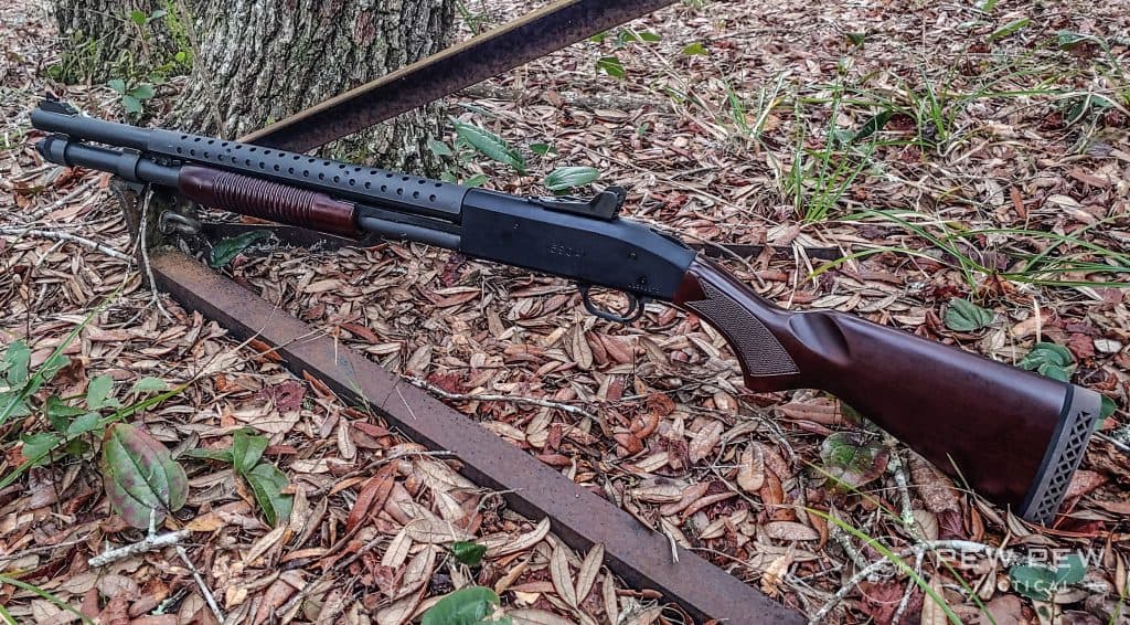 Post Thumbnail Image for post: 7 Home Defense Guns For Ban States