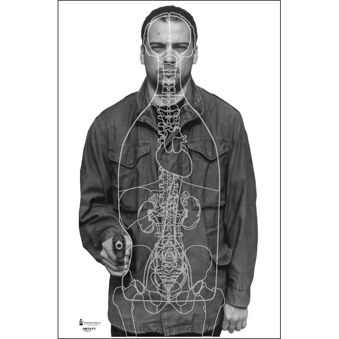 Vital Anatomy Center Mass Target