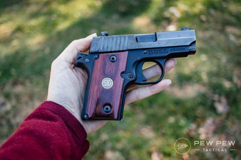 Post Thumbnail Image for post: Best Mouse Guns: Tiny Guns for Spy-Level Concealment