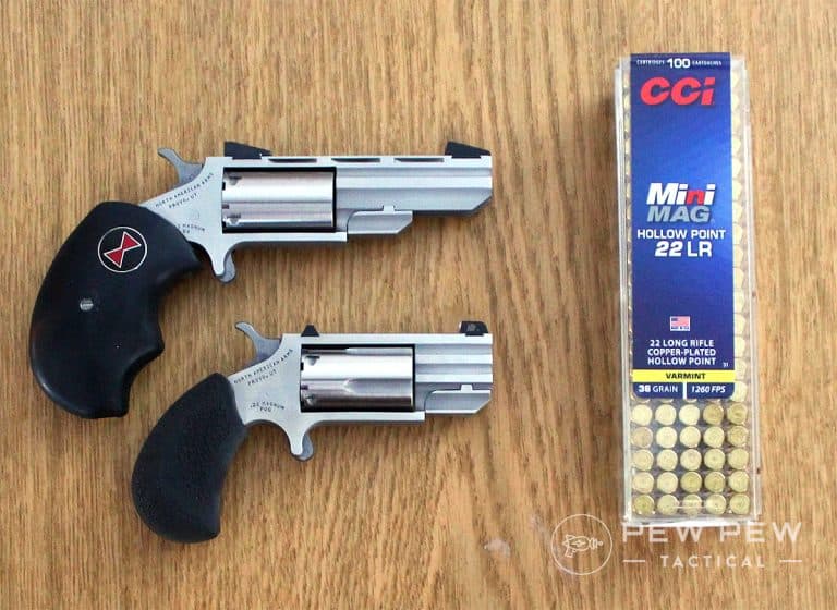 Post Thumbnail Image for post: NAA Black Widow & Pug Review: Best Mini Revolver?