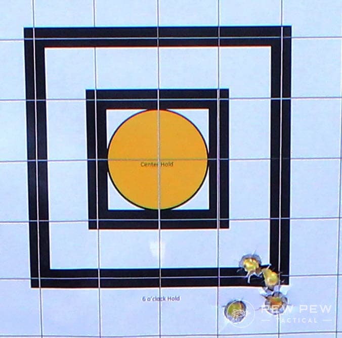 Charter-Arms-Target-Bullog-target