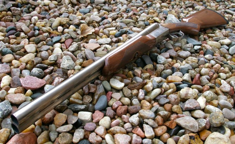 Stoeger-Coach-Gun