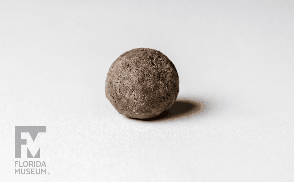 Spanish Musket Ball Florida Museum