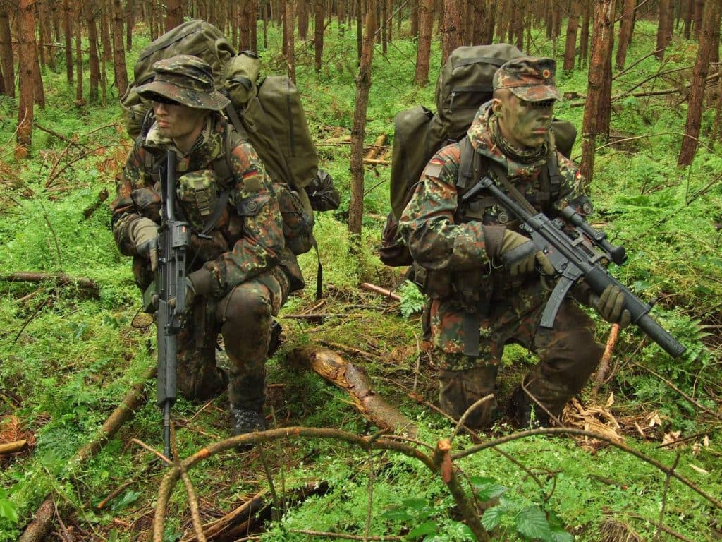 Flecktarn Camo