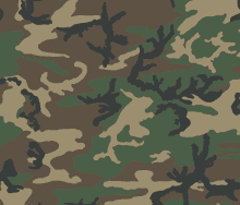M81 Woodland camo swatch