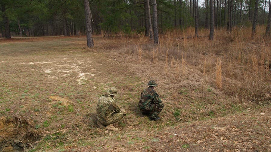 MultiCam vs M81