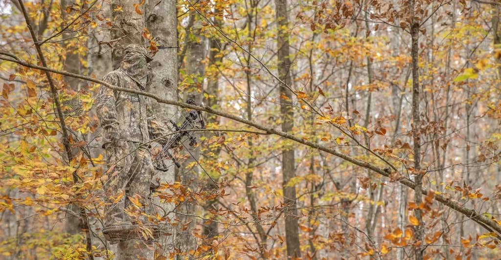 Realtree Edge