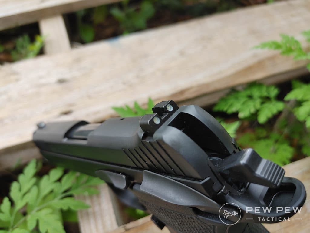 Sig P210 Carry sights