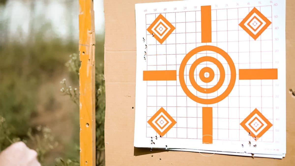 Soviet Arms Krink accuracy