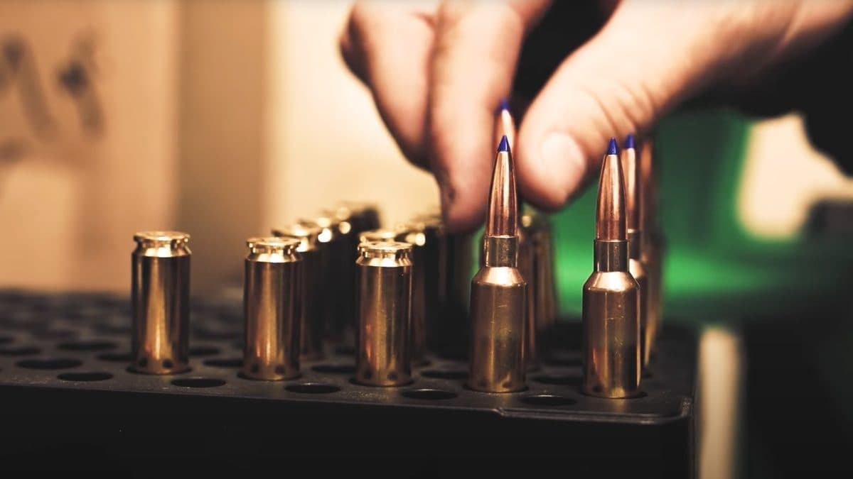 Barnes Reserve ammo